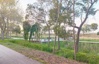 Casa da Mata - Foto 55