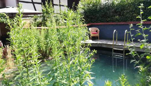 Haselbachstraße 6 - Foto 2, Garden