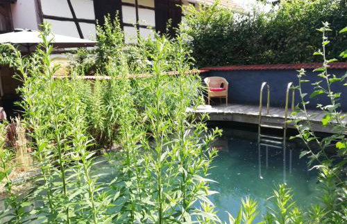 Haselbachstraße 6 - Foto 2