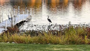 Big Chapman Lake Escape - Foto 5