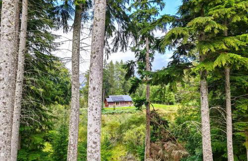 Fersit Log Cottage - Foto 1