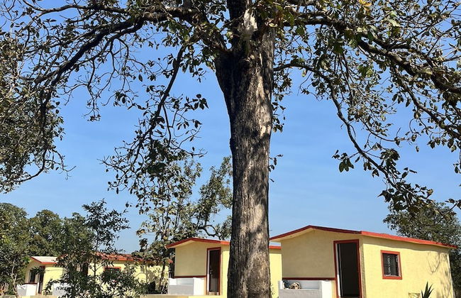 Home in the Jungle - Foto 5