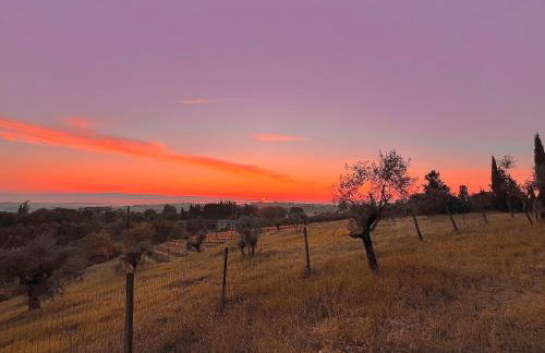 LA COLLINA DEI SAPORI Montepulciano - Photo 35