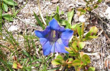 Baita Figliezzi - Foto 72