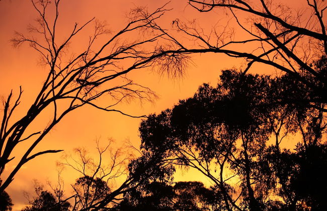 La Boheme Villa - Foto 16