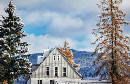 Butikowe apartamenty w Sudetach - TRZY MORZA - pod górą Trójmorski Wierch - Foto 1