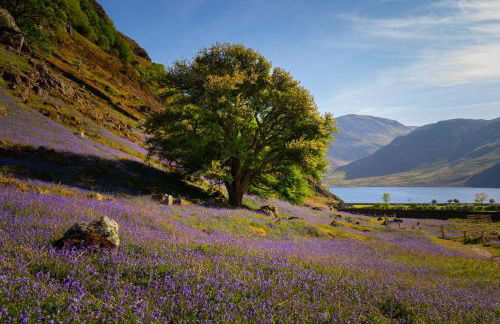 Lodge by the Lake - Lake District - Hot Tub - Foto 56