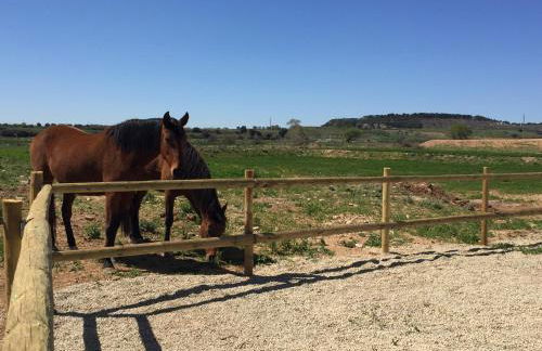 Casa Justo - Foto 11