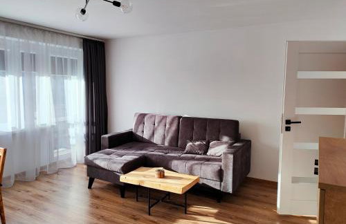 Apartament Prudniczanka - Foto 8