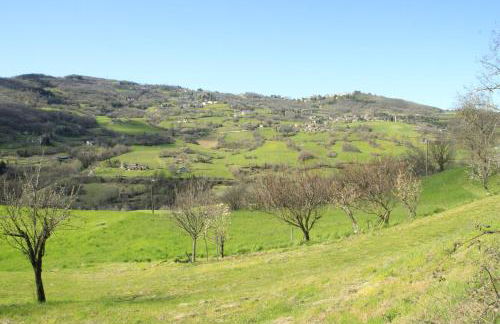 B&B dei Forestieri - Foto 10