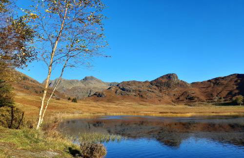 Ling Fell Cottage - Foto 23