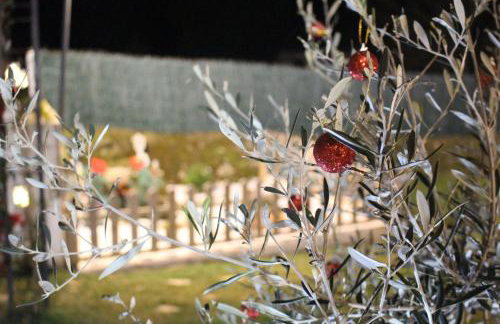 Casa Rural Los 3 Panetes - Foto 7