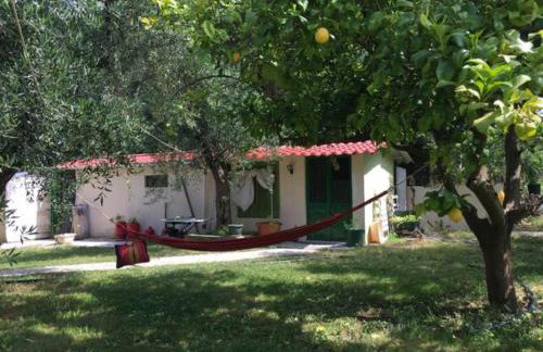 Green House!!! - Foto 26