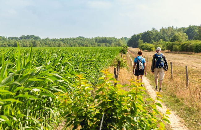 Wellness Lodge With Sauna and Wonderful Views - Foto 62