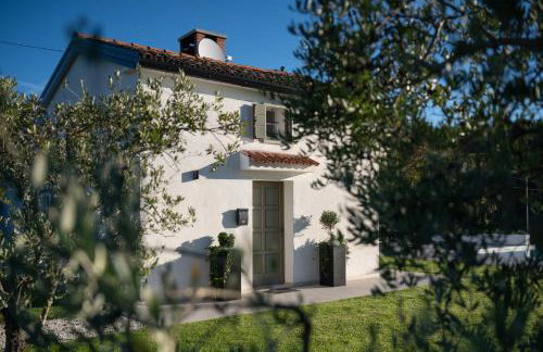 Casa Mille Olivi - Peaceful Lake View House, Private 50m2 Pool, near Motovun - Photo 41