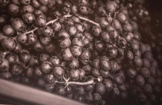 Agriturismo Dai Dellerba - Foto 71