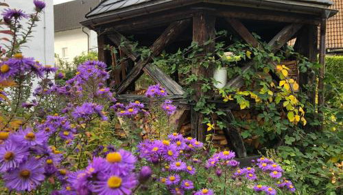 Ferienoase am Schwürbitzer Dom - Foto 4, Garden