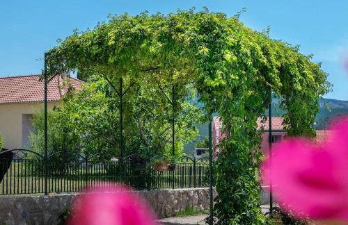 APARTMENT AMELIA VRPOLJE - Photo 38