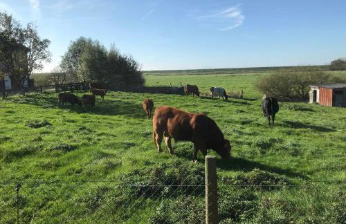 Ferienhaus Große Gaarde - Photo 8