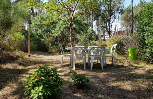 Le Grand bleu - Foto 6