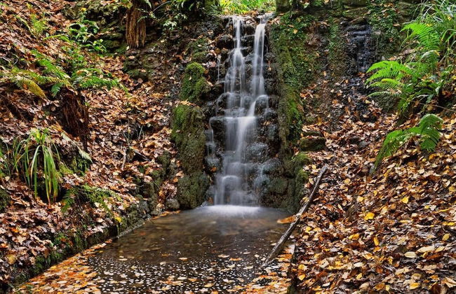 Parkside Penthouse - Foto 33