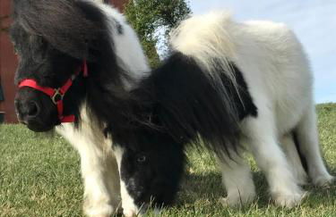 B&B Cà Bianca dell'Abbadessa - Foto 12