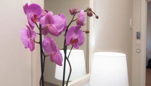 Los Rodeos Luxury Vivienda Vacacional - Foto 3