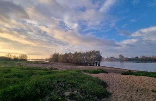 Troglo en bord de Loire, entre vignes et châteaux - Foto 19