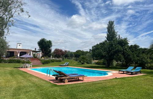 Casa de Campo, Quinta do Funchal - Foto 16