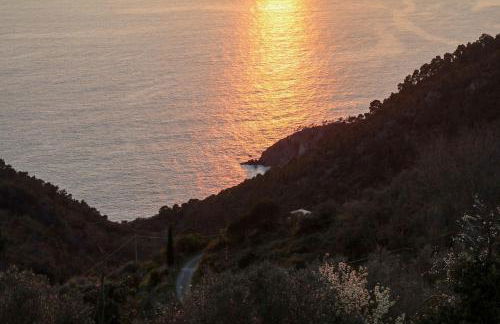 La notte sull'isola - Montaretto - tra il cielo e il mare - Foto 27