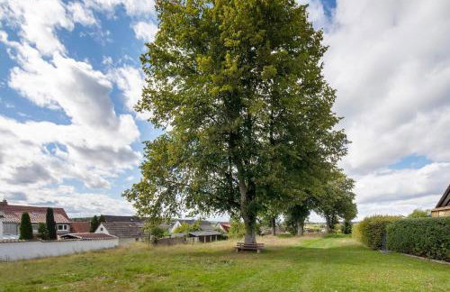 Ferienwohnung Steffi - Photo 31