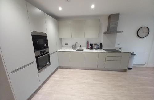 Central Modern and Spacious River view Apartment with parking - Foto 11