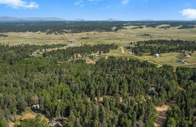 Crystal Cabin Pikes Peak Mountain w/ Wine Cellar - Foto 54