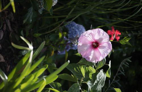 Luxury Ocean Front Villla - Foto 22