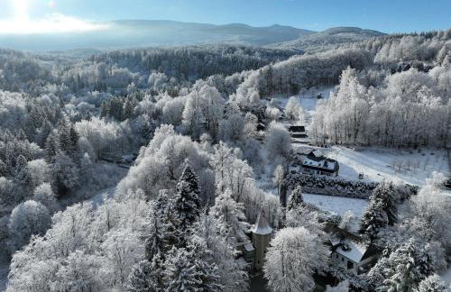 Zamek Przesieka - Foto 32