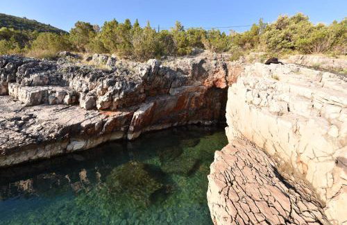 Apartmani Marko - Foto 59