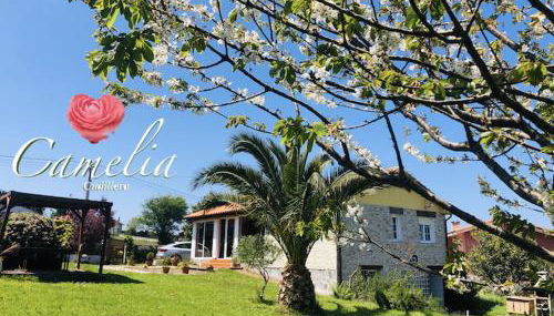 CAMELIA Casina Rural - Foto 2