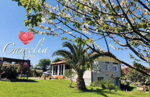 CAMELIA Casina Rural - Foto 2