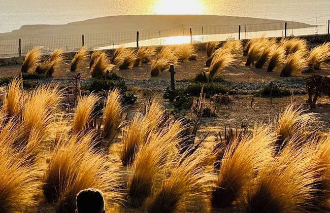 Aeris suites pori - Foto 50