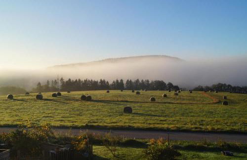 Ferienwohnung Hof Lamberty - Foto 14