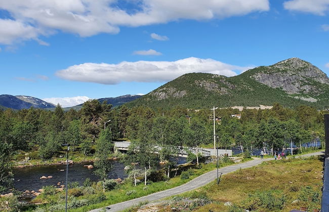 Hovdestøylen Apartments - Foto 12