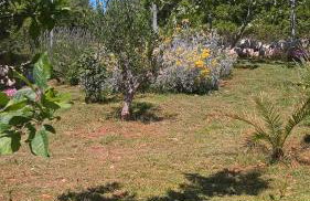 Apartments Krušvina - Foto 63