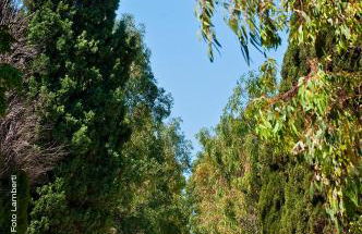 Podere Del Gesso - Foto 27