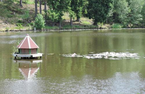 ****FH Blauvogel 60 Harz - Foto 59