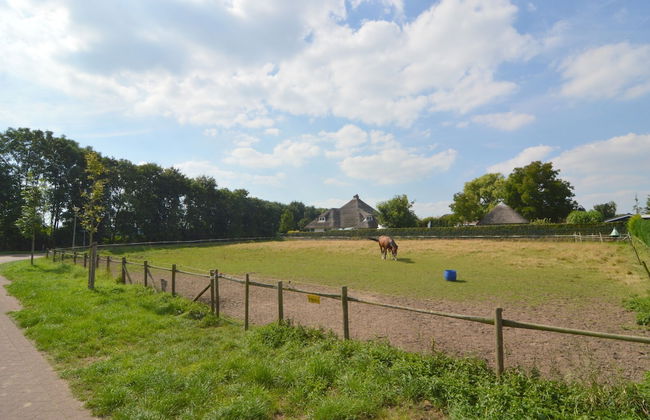 Apartment in Posterholt Near Meinweg Park - Photo 35