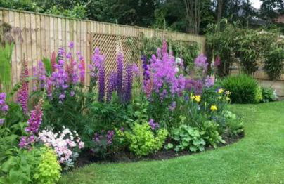 Beautiful Private Room Near Stony Brook University - Foto 1