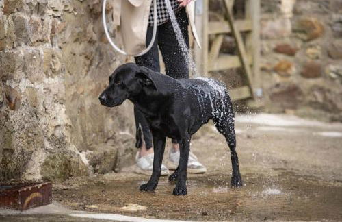 Pasture House 6 - Foto 46