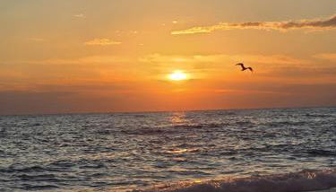 Casetta 28 passi dal mare - Foto 2