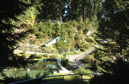 Ferienhaus Bergwiese - Foto 30