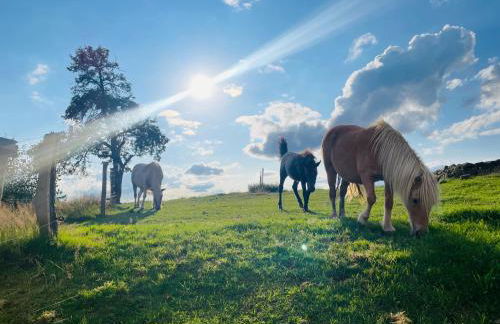 Auszeit Altenhorst, Gartenferienwohnung - Foto 28